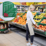 Plastic Powder Coat For L Shape Fence Supermarket Shelf Divider